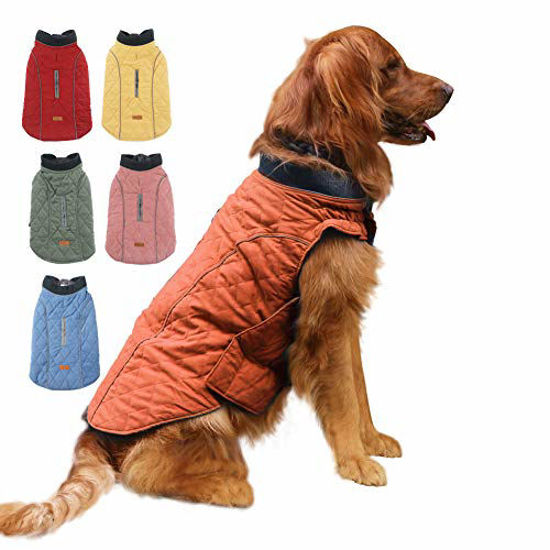 Puppy jackets for on sale winter