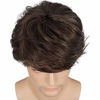 Picture of Short Brown Wig for Mens Layered Natural Fluffy Synthetic Hair Wig Heat Resistant Halloween Cosplay with Wig Cap