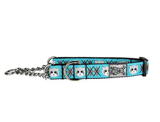 Picture of RC Pet Products 3/4" Training Martingale Dog Collar, Small, Raccoon