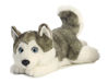 Picture of Aurora World Miyoni Lying Husky Plush - 26263