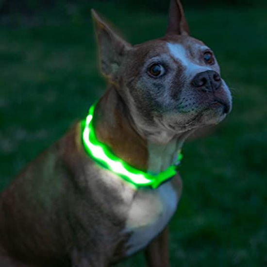 Picture of Blazin' Safety LED Dog Collar - USB Rechargeable with Water Resistant Flashing Light - XSmall Green