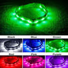 Picture of Blazin' Safety LED Dog Collar - USB Rechargeable with Water Resistant Flashing Light - XSmall Green