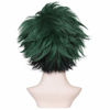 Picture of ColorGround Short Fluffy Layered Anime Cosplay Wig (Green/Black)