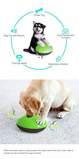 Indoor gliding shop squeaky dog toy