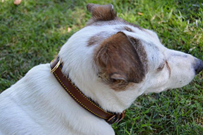 Picture of Soft Touch Collars Small Leather Padded Dog Collar, Turquoise with Beige Padding,16" Long x 5/8" Wide, Neck Size 11" to 13.5"