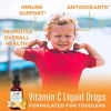 Picture of Toddler Vitamin C Drops by MaryRuths | Vegan Vitamin C Supplement for Ages 1-3 | Immune Support & Overall Health | Vitamin C from Organic Amla Fruit Extract | 1oz