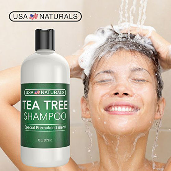 Picture of Tea Tree Oil Shampoo Sulfate-Free: Revitalize Hair, Combat Hair Loss and Cleanse Scalp with Naturally-Sourced Ingredients - Pure Tea Tree Oil & Organic Argan Oil