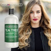 Picture of Tea Tree Oil Shampoo Sulfate-Free: Revitalize Hair, Combat Hair Loss and Cleanse Scalp with Naturally-Sourced Ingredients - Pure Tea Tree Oil & Organic Argan Oil