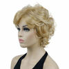 Picture of Lydell Women's Short Wavy Curly Wig Synthetic Hair Full Wig Blonde Highlights 6 inches