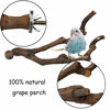 Picture of kathson Natural Parrot Perch Bird Stand Pole Wild Grape Stick Paw Grinding Fork Parakeet Climbing Standing Branches Toy Chewable Cage Accessories for Small Budgies Cockatiels Lovebirds 3PCS