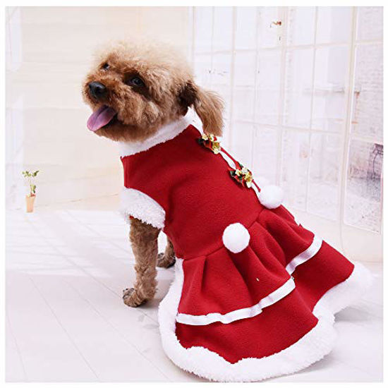 Santa hot sale suit dog