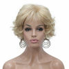 Picture of Aimole Short Curly Synthetic Wigs Full Capless Hair Women's Thick Wig for Everyday (24BT613)