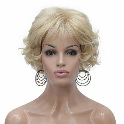 Picture of Aimole Short Curly Synthetic Wigs Full Capless Hair Women's Thick Wig for Everyday (24BT613)