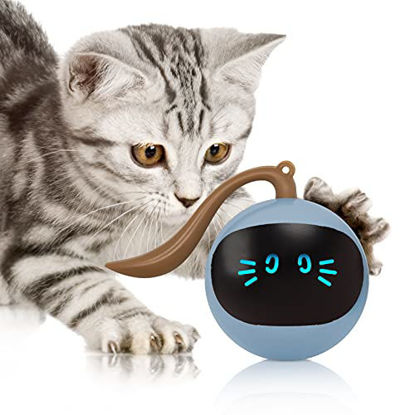 Picture of FOFOS Cat Toys 360°Self Rolling Ball Toy Interactive Toys Cat Wand Teaser Toys USB Charging Hunting Exercise Toys Indoor Gifts for Kitten/Puppy/Small Dogs (Blue)