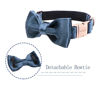 Picture of ARING PET Bowtie Dog Collar-Velvet Dog Collars with Removable Bowtie, Cute & Comfortable Dog Collar.