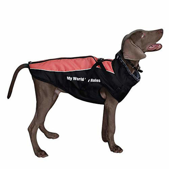 Dog sales camping jacket