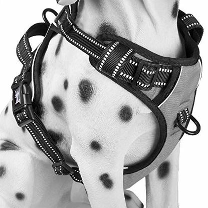 Picture of PoyPet No Pull Dog Harness, Reflective Vest Harness with 2 Leash Attachments and Easy Control Handle (Gray,L)