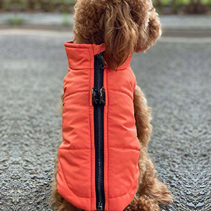 Picture of Dog Winter Vest with Cotton Lining, Waterproof Ultra Warm Dog Winter Coat Windproof Zippered Jacket Breathable Soft Dog Coat for Small Medium Large Dogs Orange XS