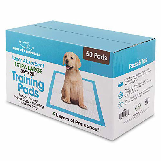 Most absorbent pee pads for clearance dogs