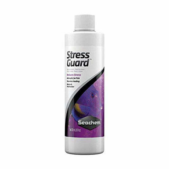 Picture of Seachem StressGuard Slime Coat Protection - Stress and Toxic Ammonia Reducer 250 ml