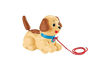 Picture of FIsher-Price Lil' Snoopy, dog-themed pull toy for walking infants and toddlers