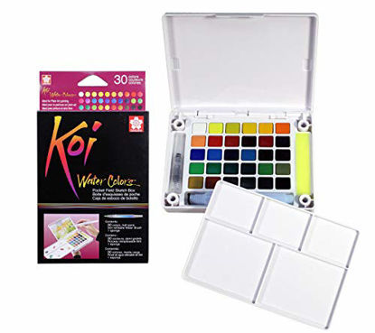 Picture of Sakura XNCW-30N Koi Field 30 Assorted Watercolors with Brush Sketch Set