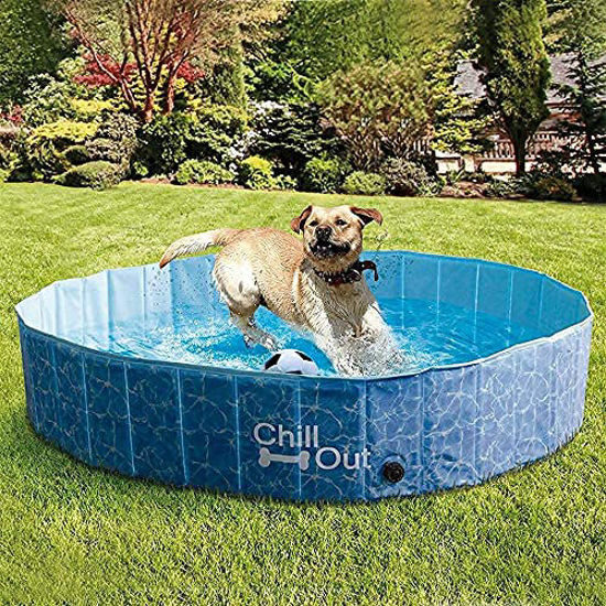 Big dog best sale swimming pool