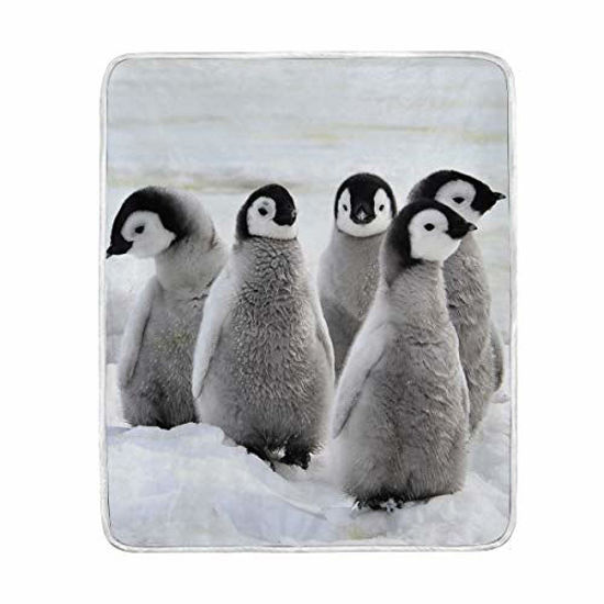 Picture of Blueangle Emperor Penguin Velvet Blanket Throw Size Luxury Bed Blanket Fuzzy Soft Blanket Microfiber