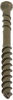 Picture of CAMO Edge Deck Screws 1-7/8" ProTech (1750 ct)