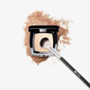 Picture of DUcare Highlighter Brush Fan Setting Makeup Brush Blending Helps Lock in Foundation and Concealer, 1Pcs Silvery & Black