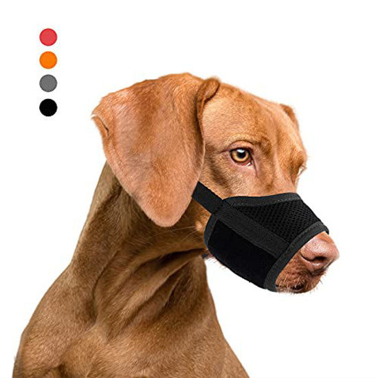 Using a muzzle hot sale to stop chewing