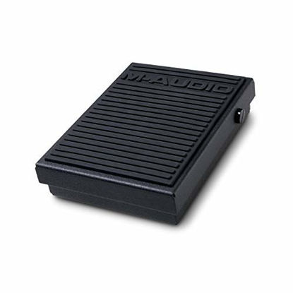 Picture of M-Audio SP-1 | Sustain Foot Pedal or FS controller for Synthesizers, Tone Modules, and Drum Machines