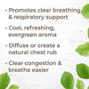 Picture of Plant Therapy Respir Aid Essential Oil Blend 30 mL (1 oz) Sinus, Airway and Congestion Clearing Synergy Blend 100% Pure, Undiluted, Natural Aromatherapy, Therapeutic Grade