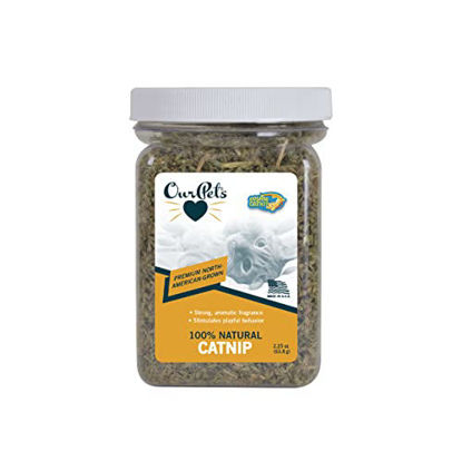 Picture of Our Pets Cosmic Catnip, 100% Premium North-American Grown Catnip (Maximum Potency Catnip with an Enticing Aroma is a Perfect Addition to Cat Scratching Post, Cat Scratcher & Cat Toys) 2.25 OZ Jar