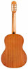 Picture of Cordoba C1M Classical Acoustic Nylon String Guitar, Protégé Series