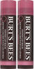 Picture of Burt's Bees Lip Balm, Tinted Moisturizing Lip Care, for Dry Lips, 100% Natural, With Shea Butter, Hibiscus (2 Pack)