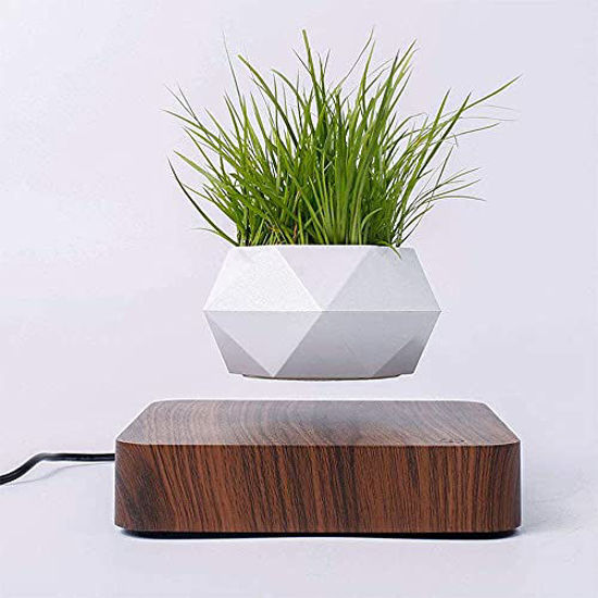 Picture of Levitating Air Bonsai Pot, Rotation Flower Pot Planters, Magnetic Levitation Suspension Floating Pot, Potted Plant Home Desk Decor in Flower Pots & Planters from Home & Garden on (Dark Color)