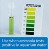 Picture of API AMMO-LOCK Freshwater and Saltwater Aquarium Ammonia Detoxifier 16-Ounce Bottle