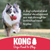 Picture of KONG - Flyer - Durable Rubber Flying Disc Dog Toy - for Large Dogs