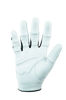 Picture of Bionic StableGrip Golf Glove, Right Hand, Small