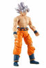 Picture of Dragon Ball Super Evolve 5" Action Figure - Goku Ultra Instinct Silver