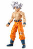 Picture of Dragon Ball Super Evolve 5" Action Figure - Goku Ultra Instinct Silver