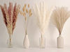 Picture of 65PCS Pampas Grass Decor, Including pompas Floral, Reed Dried Grass and Bunny Tails Dried Flowers, Natural Dried Pampas Grass Bouquet for Boho Decor Wedding, Home Decoration