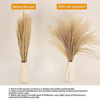 Picture of 65PCS Pampas Grass Decor, Including pompas Floral, Reed Dried Grass and Bunny Tails Dried Flowers, Natural Dried Pampas Grass Bouquet for Boho Decor Wedding, Home Decoration