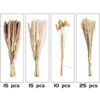 Picture of 65PCS Pampas Grass Decor, Including pompas Floral, Reed Dried Grass and Bunny Tails Dried Flowers, Natural Dried Pampas Grass Bouquet for Boho Decor Wedding, Home Decoration