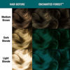 Picture of MANIC PANIC Enchanted Forest Hair Color Amplified