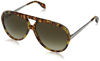 Picture of Alexander McQueen Women's AMQ4240/S Havana/Brown Gradient