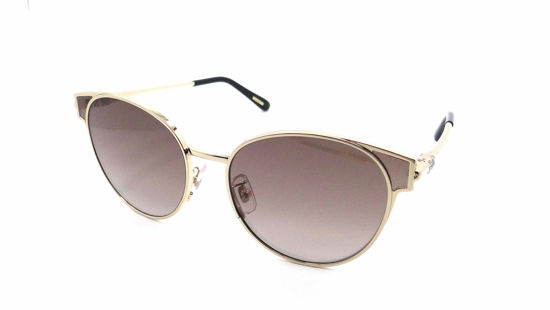 Picture of Sunglasses Chopard SCHC 21 S Gold 0300