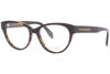 Picture of Eyeglasses Alexander McQueen AM 0359 O- 002 / Havana