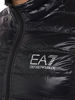 Picture of Emporio Armani EA7 Men's Train Core Down Vest, Black, XX-Large